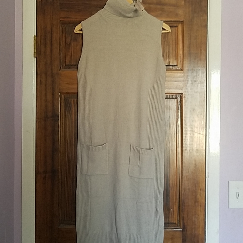 Cozy Turtle Neck Sweater Dress